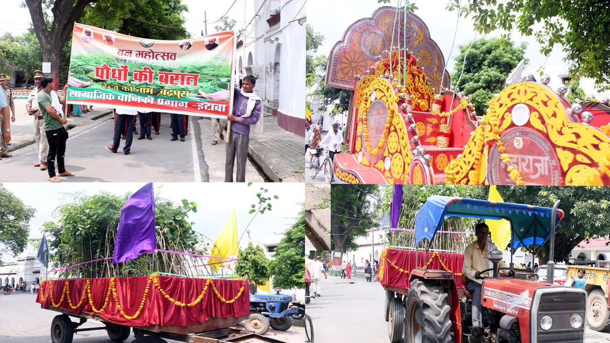 Etawah: Banyan became the bridegroom, procession of plants taken out with bands