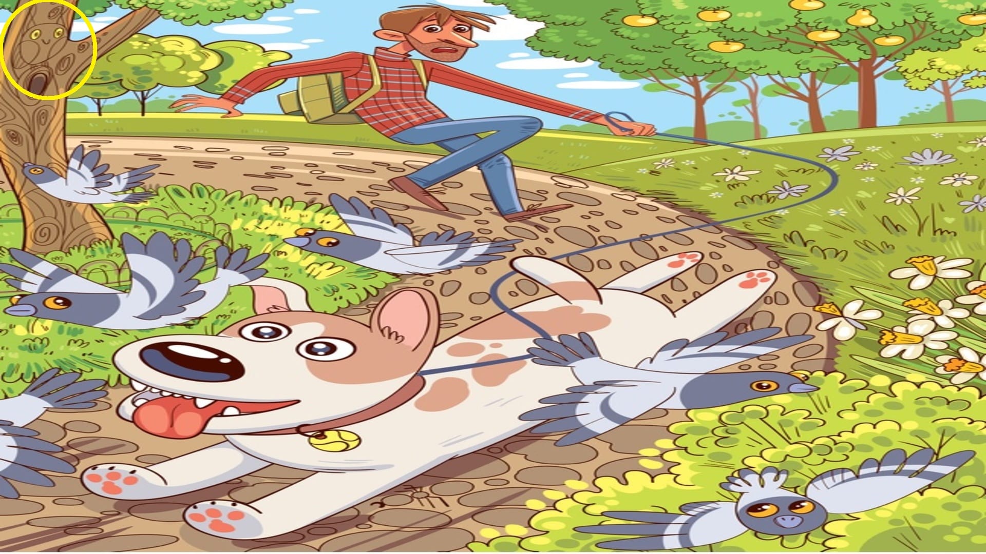 Optical Illusion for Testing Your IQ: Can you spot an Owl hidden inside the picture in 7 secs?