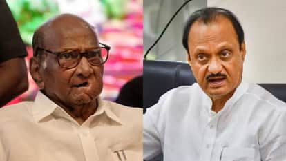 शरद पवार, अजित पवार