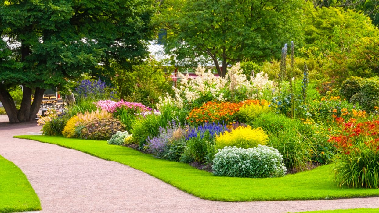 Unique Garden: Garden aphrodisiacs that can turn on the passion could boost Brits love lives