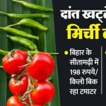 सब्जियों के दाम बढ़े