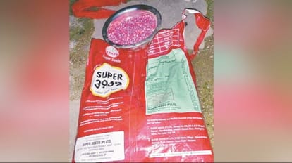 Himachal Solan News: maize seed uncertified CM Office orders Probe