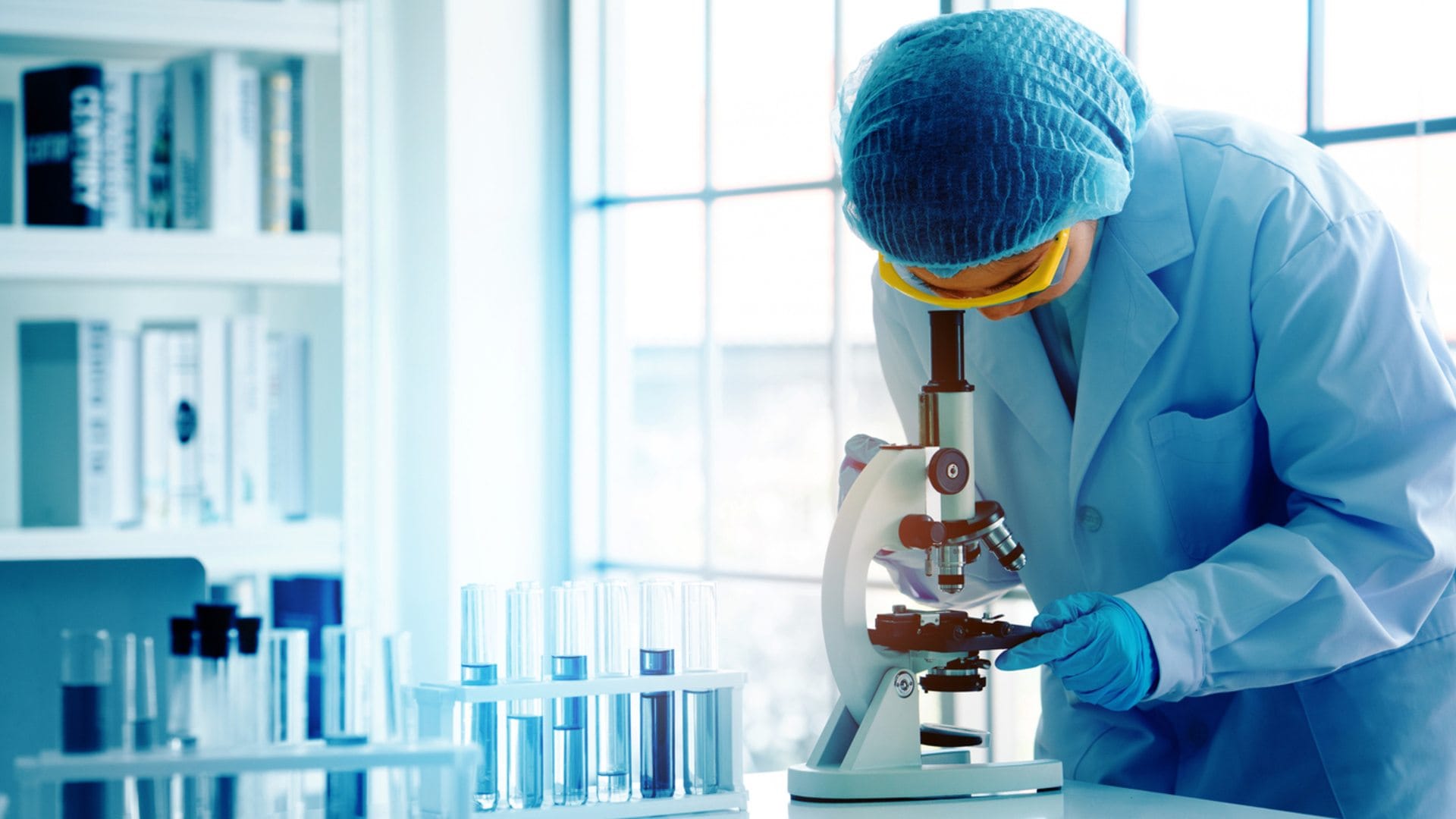 Zombie virus threat Scientists warn for new pandemic Arctic zombie viruses threat