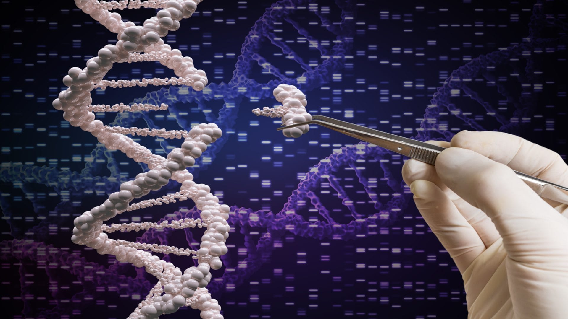 Chinese scientist puts forward proposal for modifying human embryos to help aid ageing population
