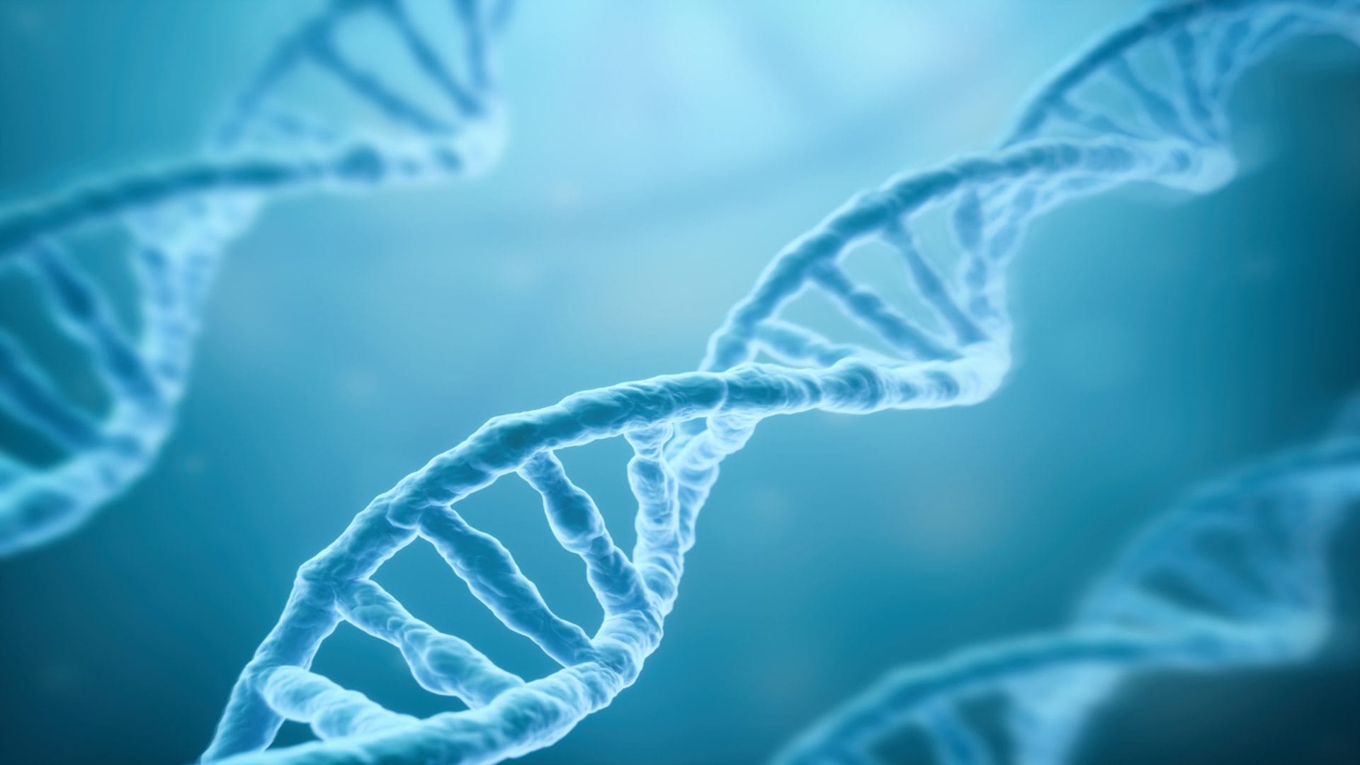 WHO has issued a warning about new Pandemic ‘Disease X’ know its risk and causes in hindi