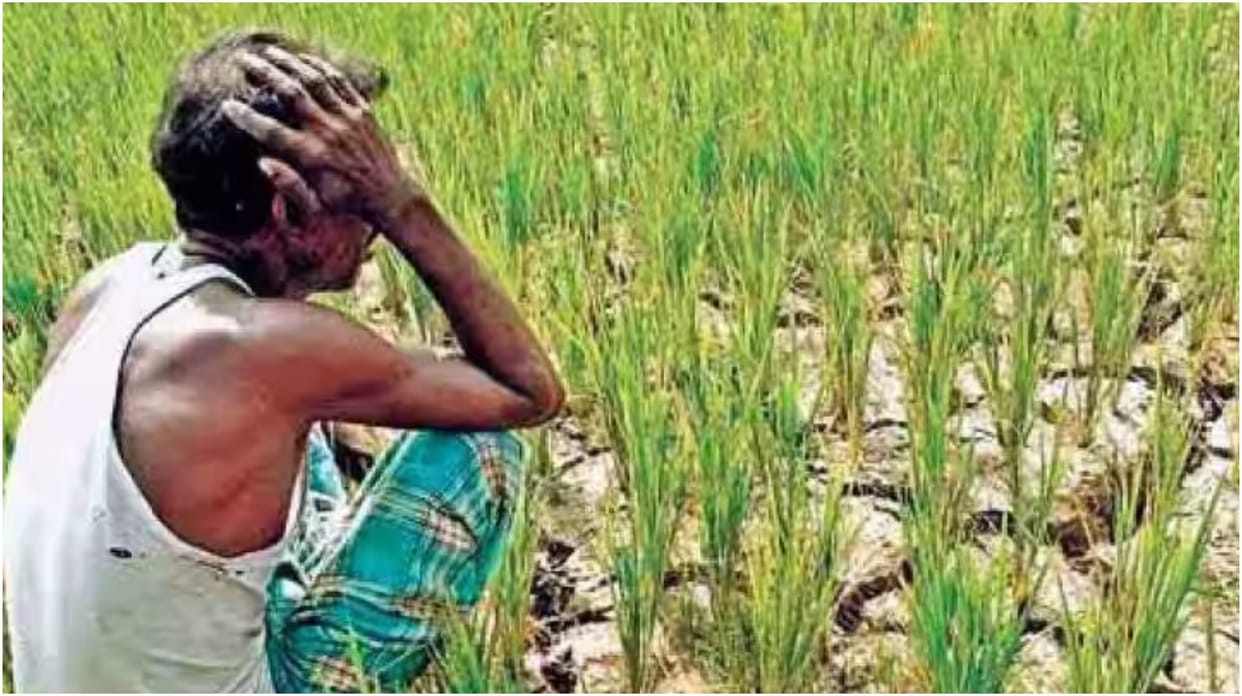 Manipur stares at food shortage as ethnic violence affects farming