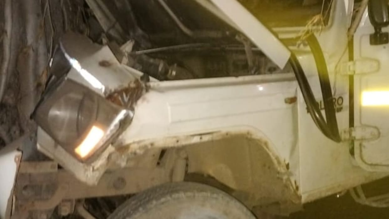 Janjgir-Champa Accident; 15 people injured after pickup collided with tree in Janjgir-Champa