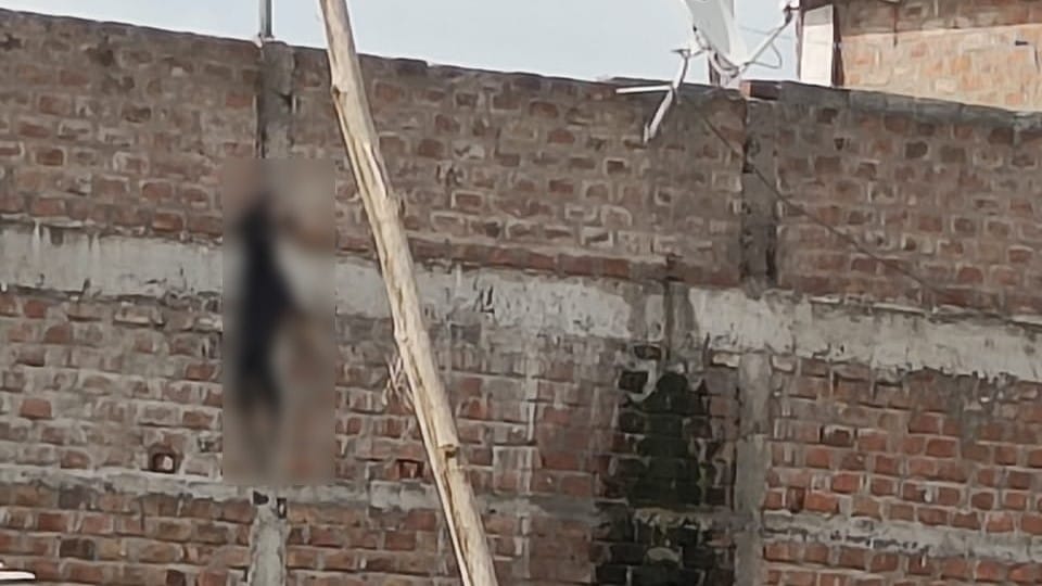 Dog was hanged in Indore, police filed a case against the accused