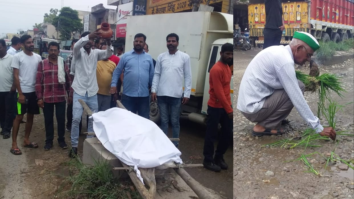 people planted paddy on the road in protest against the bad road in Yamunanagar