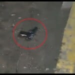 रोहिणी इलाके में एनकाउंटर