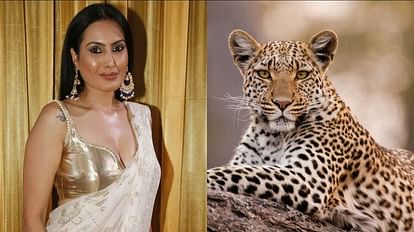 Leopard on kamya panjabi new tv show neerja ek nayi pehchaan at mumbai film city