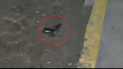 Delhi Encounter: रोहिणी इलाके में एनकाउंटर, गोली लगने से घायल हुआ कॉन्ट्रैक्ट किलर Contract killer injured in encounter in Delhi's Rohini area