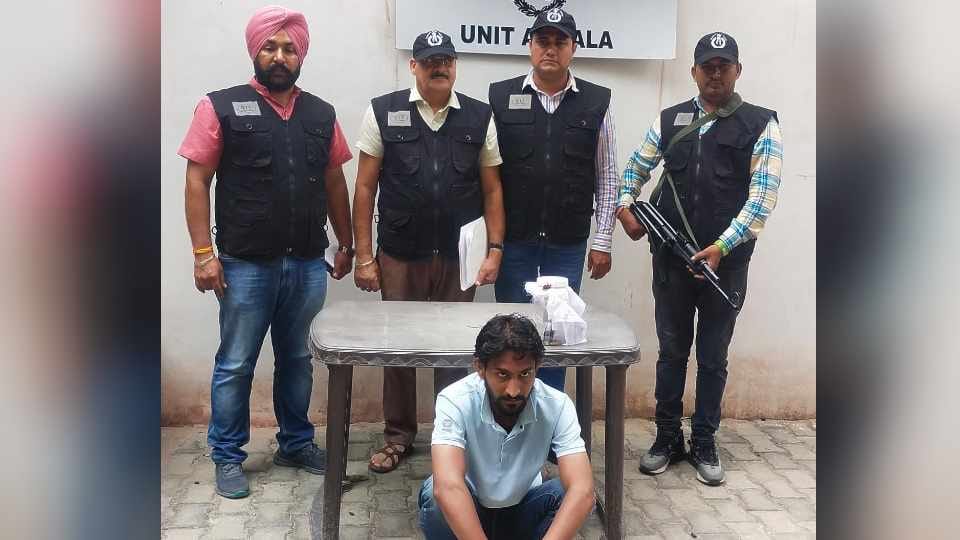 Accused of firing at IELTS coaching center operator arrested