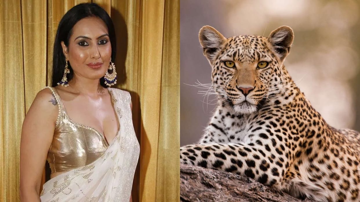Leopard on kamya panjabi new tv show neerja ek nayi pehchaan at mumbai film city