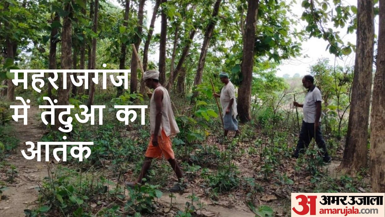 Leopard came out of forest and reached population panic in villages