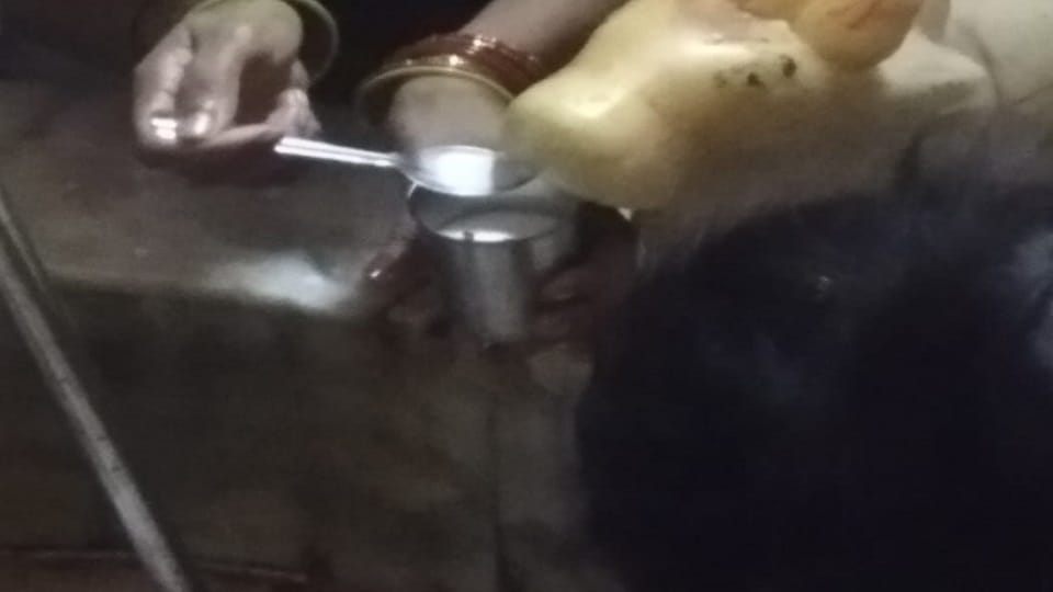 Nandi drank milk after water in aligarh