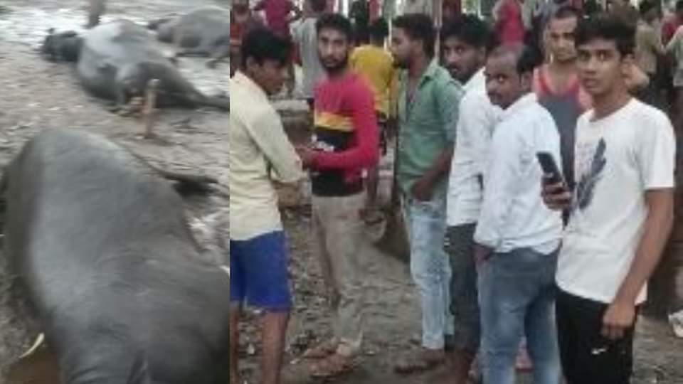 Waterlogging on the roads due to heavy rains in Bareilly