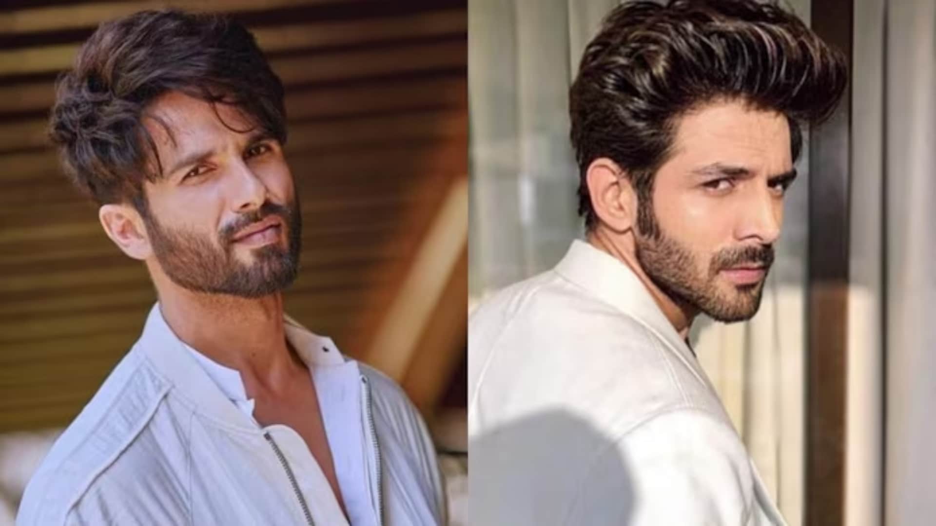 Filmy Wrap Salaar Vivek Agnihotri Malaika Arora Shahid Kapoor Kartik Aaryan Shanaya Kapoor entertainment news