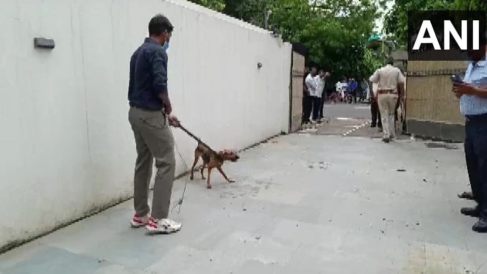 Delhi Police freed 14 dogs