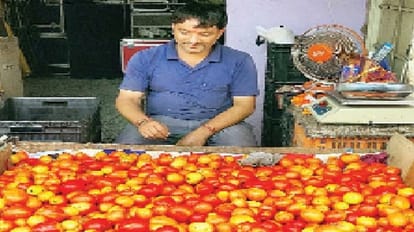 बिगाड़ा बजट: जम्मू-कश्मीर के उधमपुर में सबसे महंगा बिक रहा टमाटर, 150 रुपये किलो चल रहे रेट Most expensive tomato sold in Udhampur, Jammu Kashmir, running rate of Rs 150 per kg