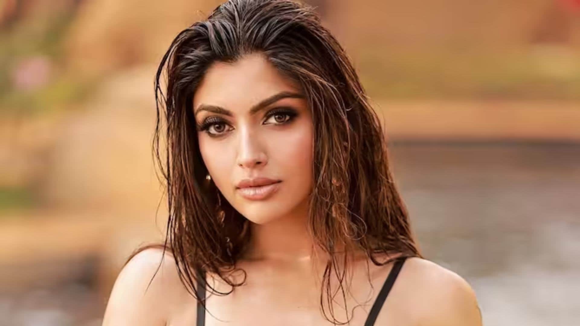 These Hot TV Actresses Were Air Hostess Before Starting Acting Careers Deepika Kakkar Akanksha Puri