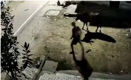 Youth used to rape cattle, embarrassed family imprisoned in house, incident captured in CCTV, arrested