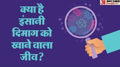 Amoebic meningoencephalitis eats the flesh inside the brain, Know how does it enter inside the human being?