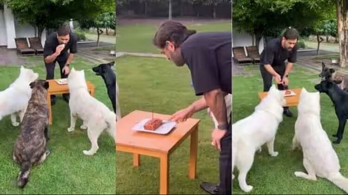 csk captain Mahendra Singh Dhoni celebrated 42nd birthday at home shared video on Instagram