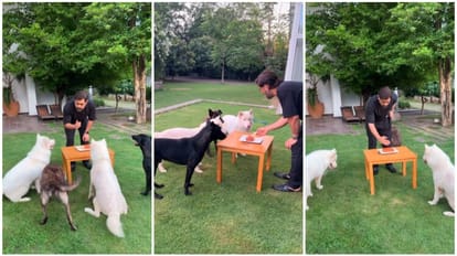 csk captain Mahendra Singh Dhoni celebrated 42nd birthday at home shared video on Instagram