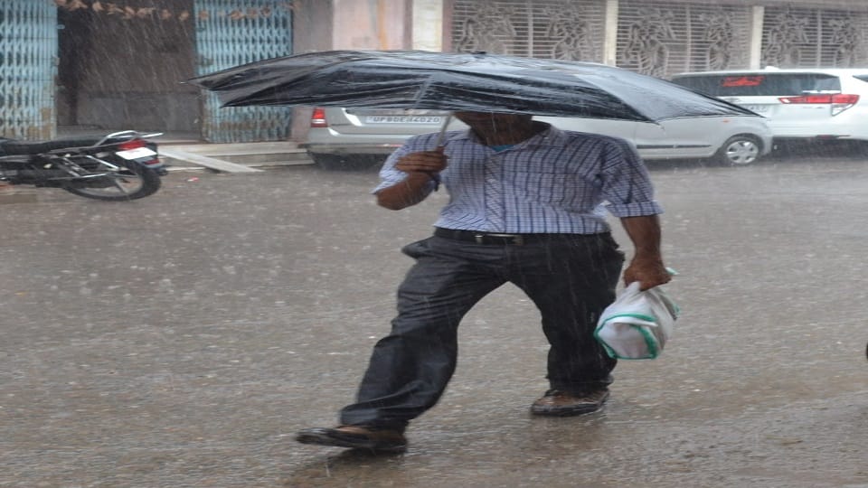 rain gave relief from the heat
