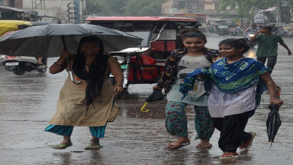 Many areas of Aligarh submerged due to intermittent rains
