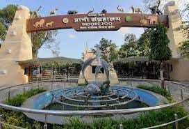 The minister could not shift the zoo to Ralamandal, now the women's group has demanded, preparing to take out