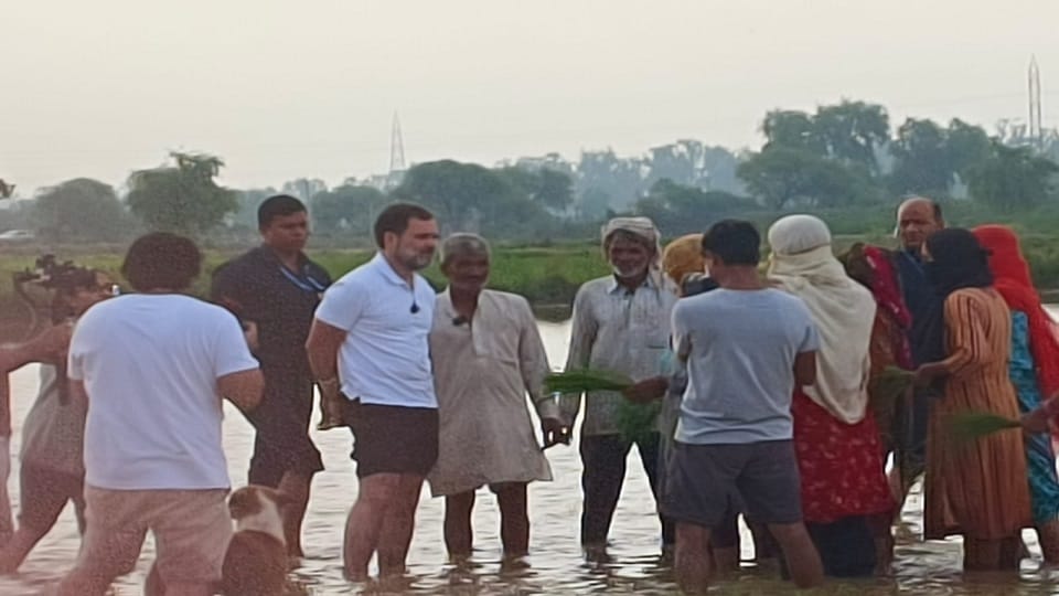 Rahul became farmer in Sonipat, he wore knee length pants; P lassi plowing field by driving tractor