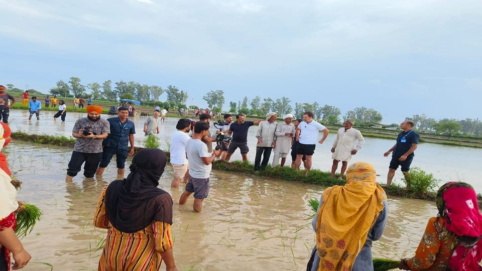 Rahul became farmer in Sonipat, he wore knee length pants; P lassi plowing field by driving tractor