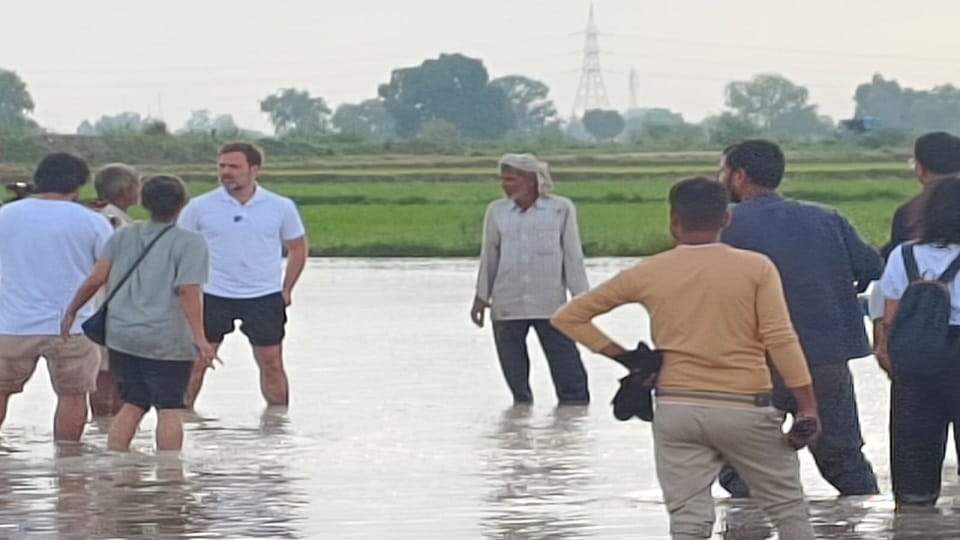 Rahul became farmer in Sonipat, he wore knee length pants; P lassi plowing field by driving tractor