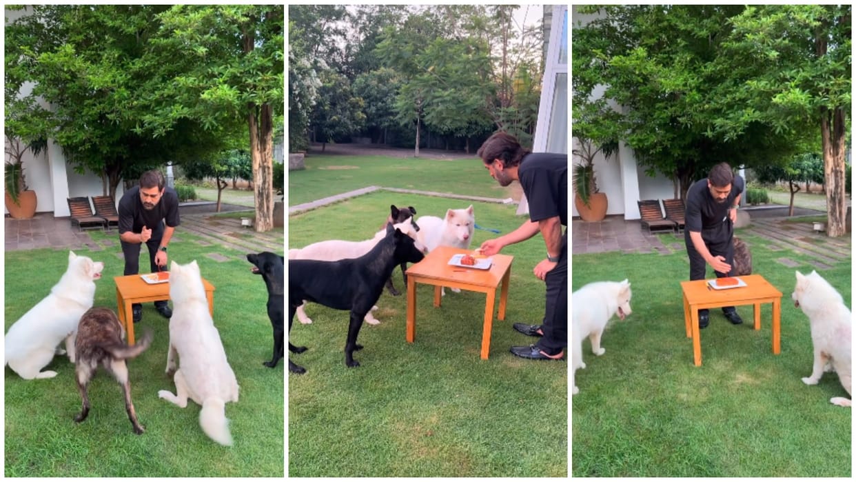 csk captain Mahendra Singh Dhoni celebrated 42nd birthday at home shared video on Instagram