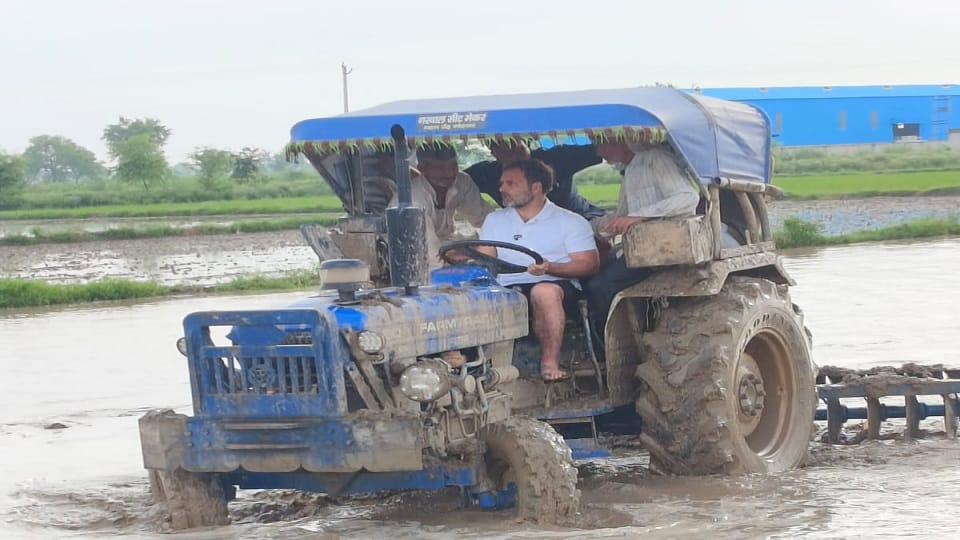 Rahul became farmer in Sonipat, he wore knee length pants; P lassi plowing field by driving tractor