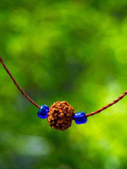 Rudraksha