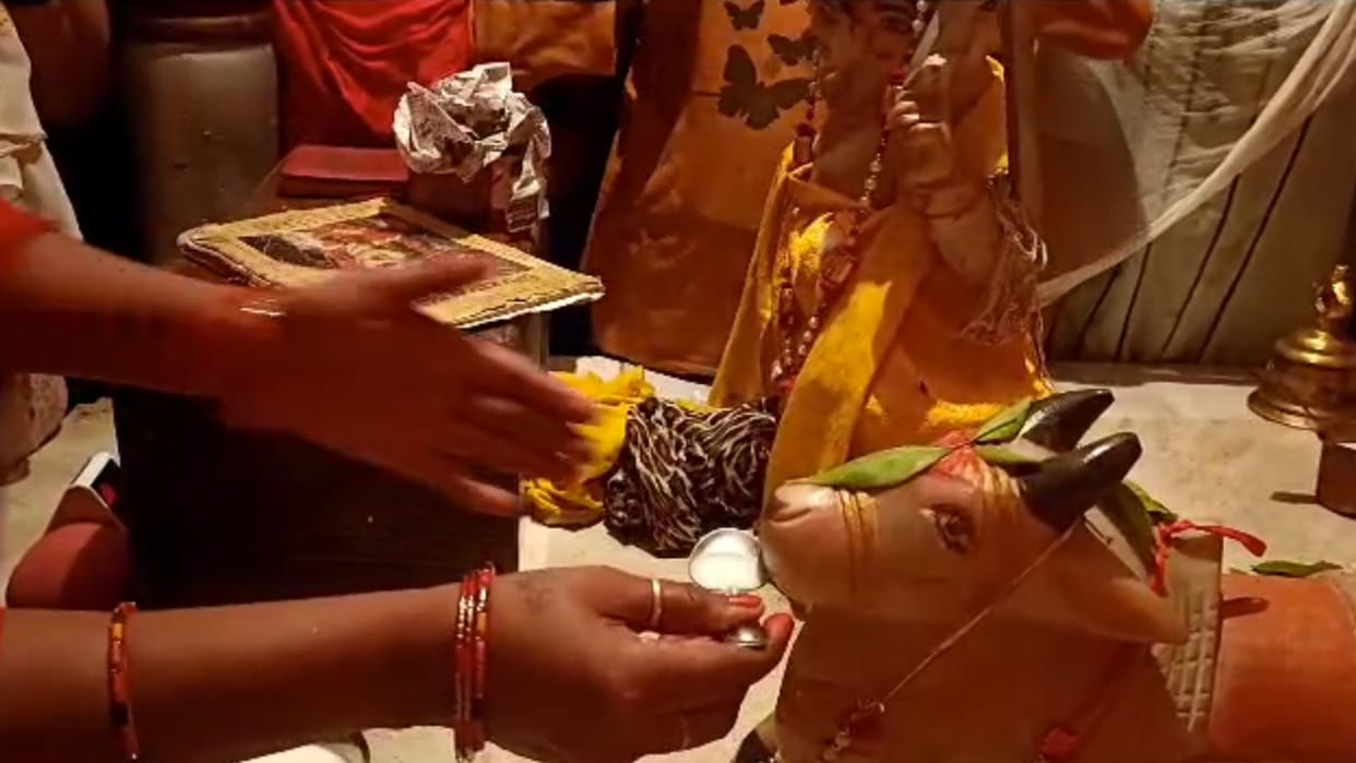 People make drink milk to the statues of Nandi baba in Sitapur.