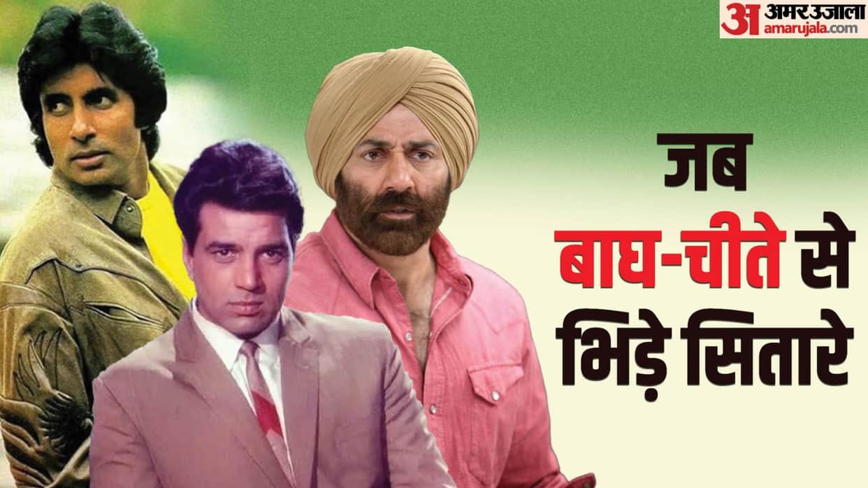 Actors Who Shot with Wild Lion Tiger Cheetah Dharmendra Karishma Kapoor Sunny Deol Amitabh Bachchan read here