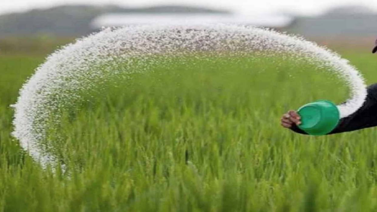 Three bio fertilizer testing labs will be established in Punjab