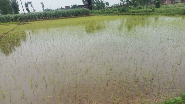 Weather News : heavy rain in July month starts, alert for next 72 hours