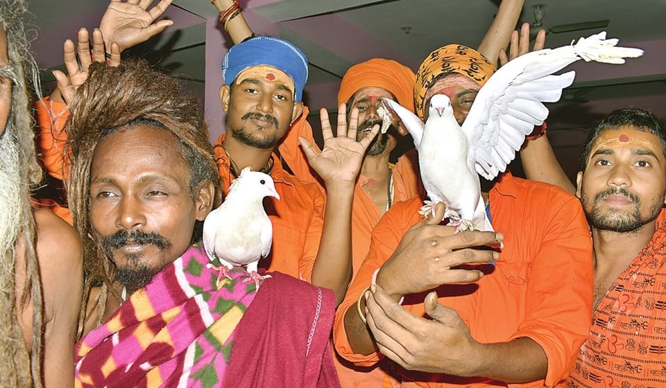 amarnath yatra: Sadhu Somnath brought four pigeons from Kolkata
