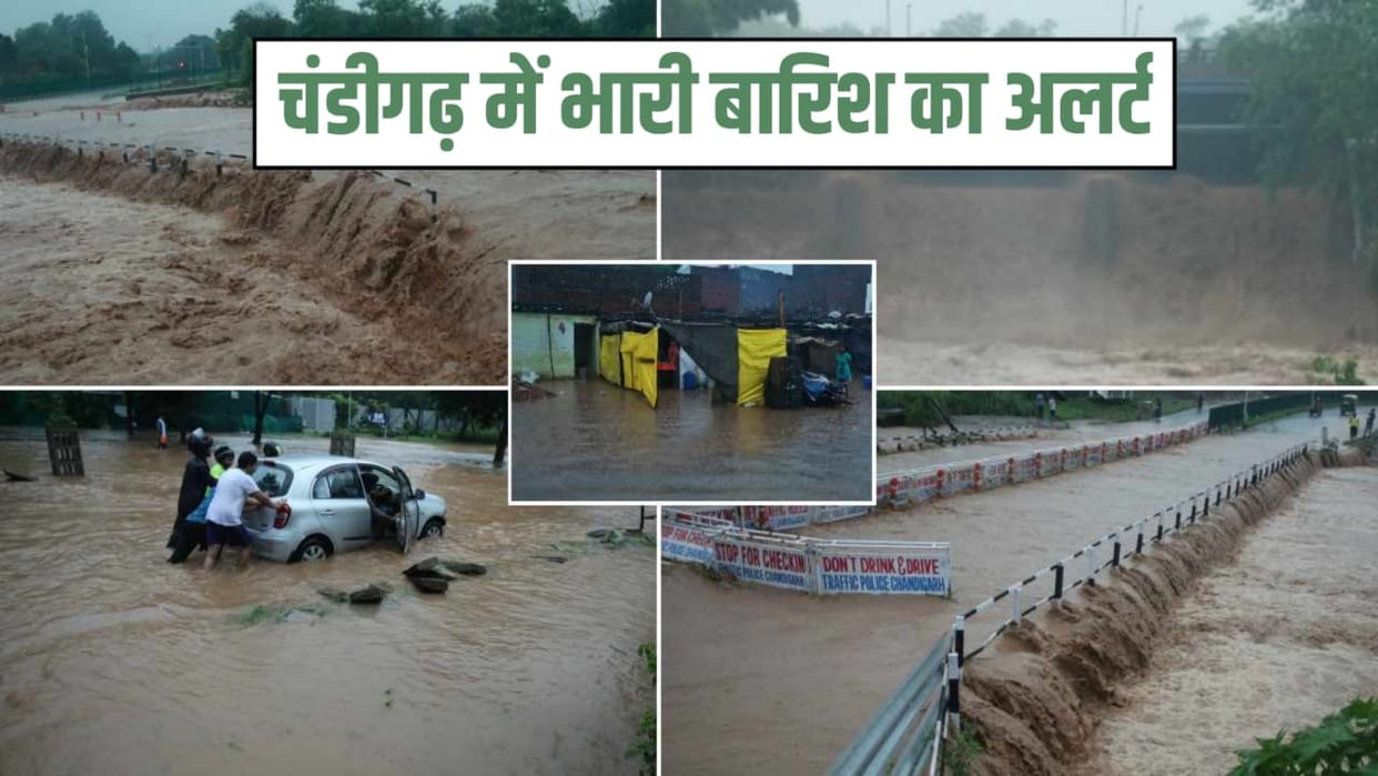 Chandigarh Weather Today: IMD Orange Alert Issued in Punjab, Haryana and Chandigarh Heavy Rain Monsoon Update
