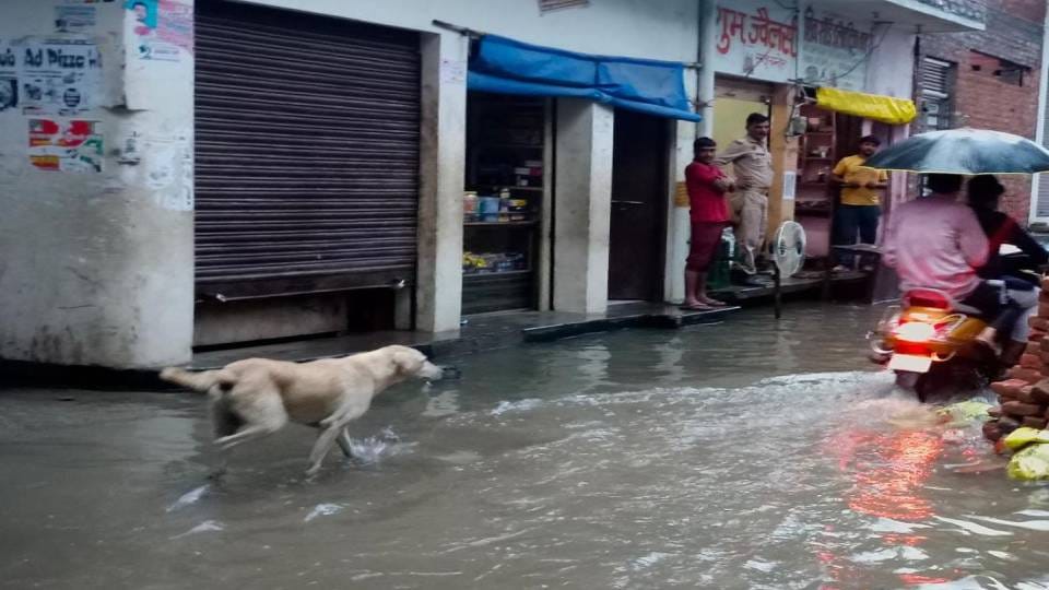 people are troubled by water logging in Kishni development block and Nagar Panchayat area In Mainpuri