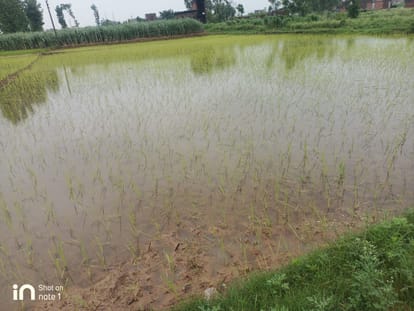 Rivers overflowing due to heavy rain in UP, life effects