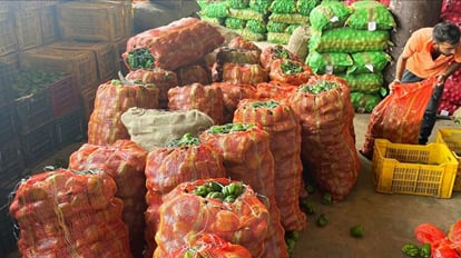 solan news: farmers get good price of capcicum in sabji mandi solan