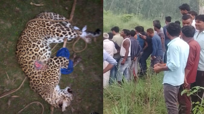 People killed Guldaar by lynching after he attacks on two brothers in Bijnor