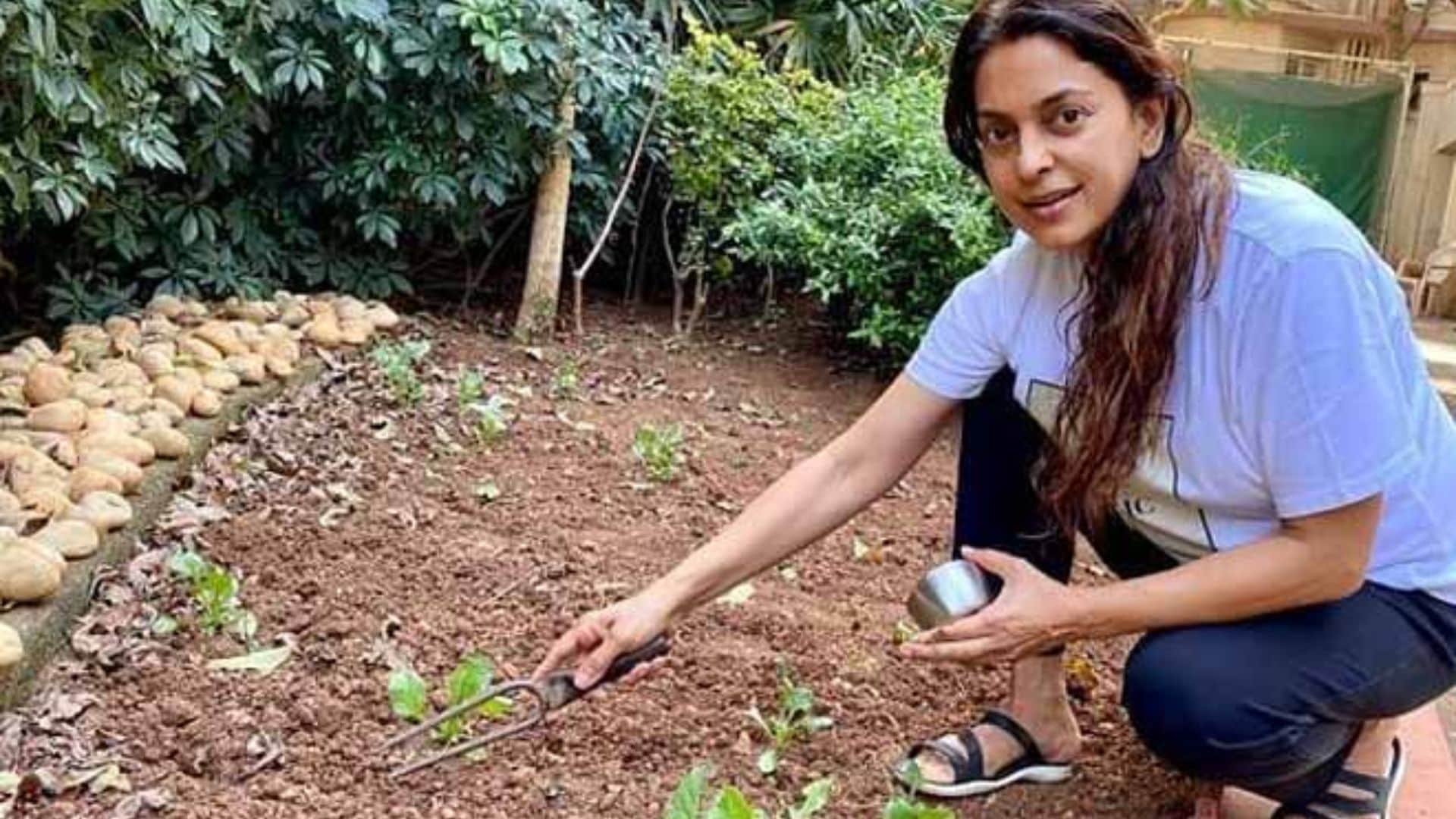 bollywood actress who love gardening shilpa shetty anushka sharma juhi chawla twinkle khanna bollywood actress