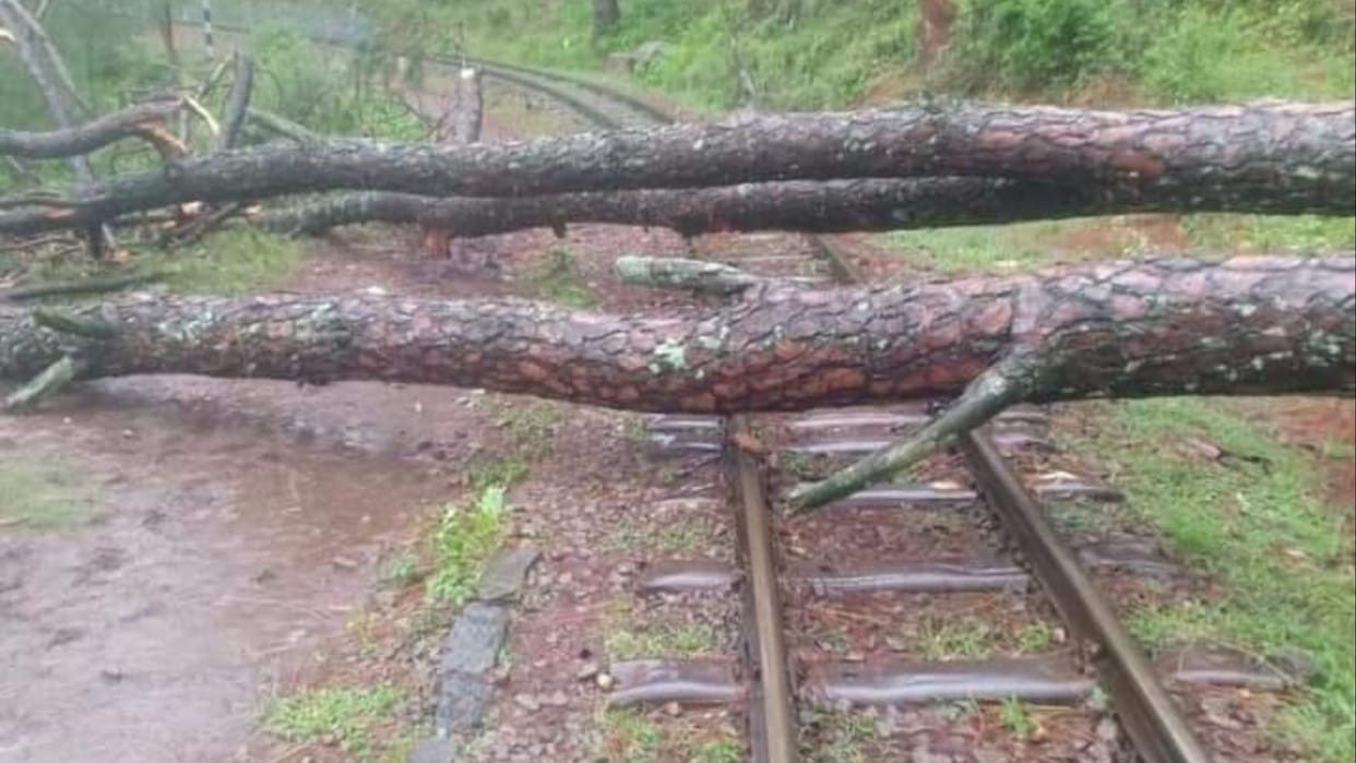 Kalka-Shimla Railway: Toy trains will remain closed till Tuesday due to landslide-tree fall